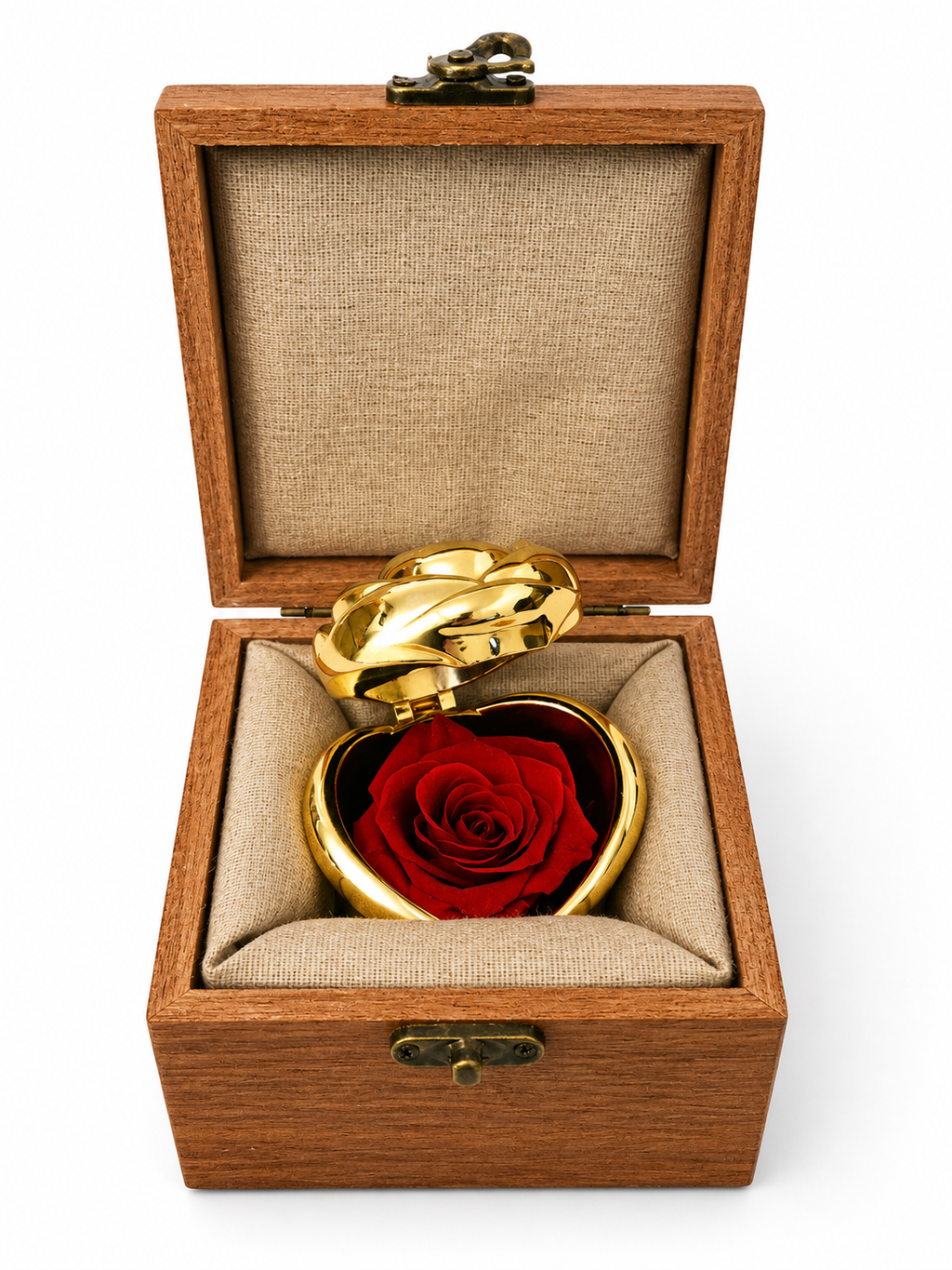 Rose éternelle rouge dans écrin doré – Coffret en bois